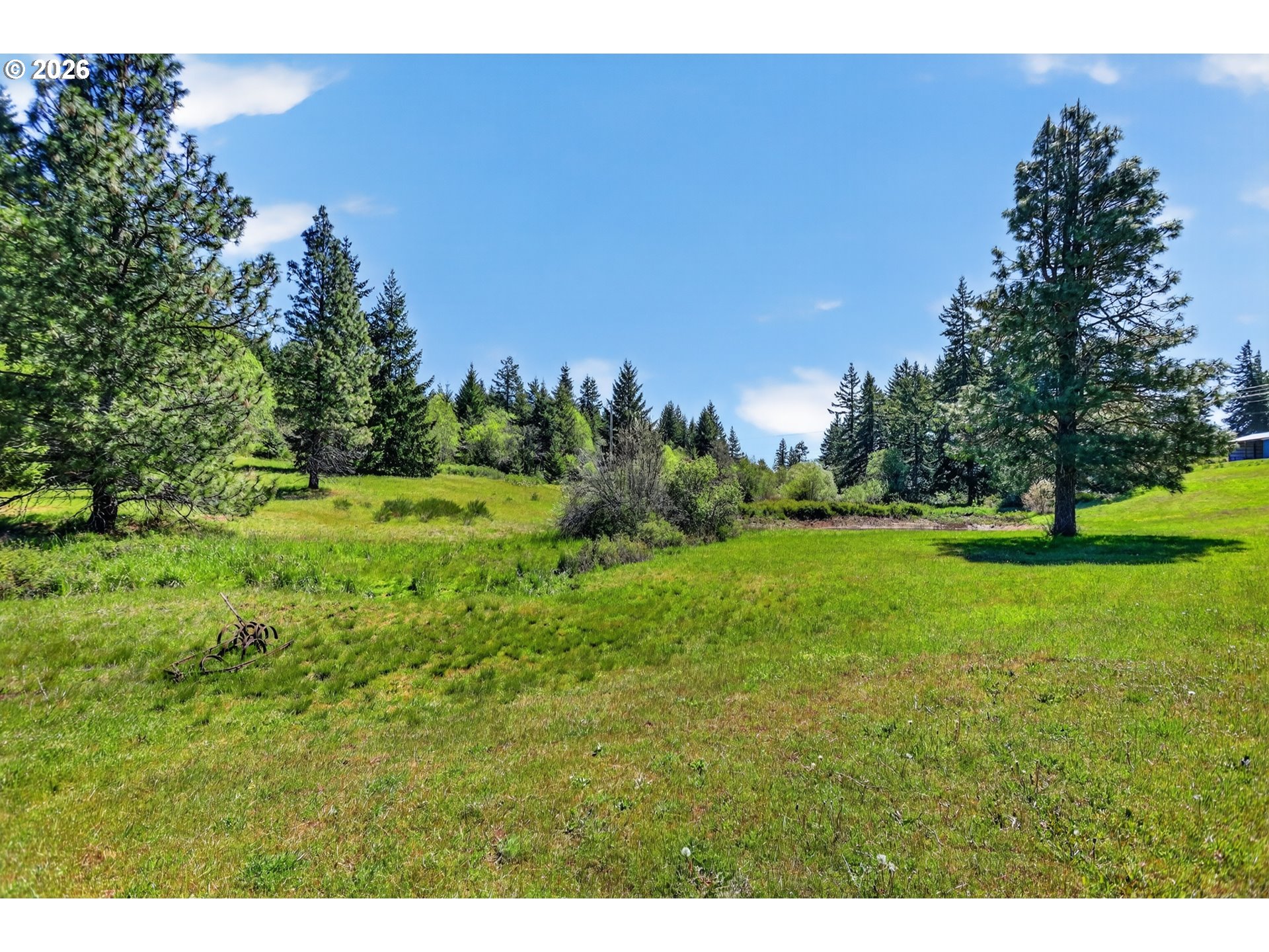 97 Kida Road White Salmon, WA 98672 - Photo 11 of 45 a view of a field with trees in the background