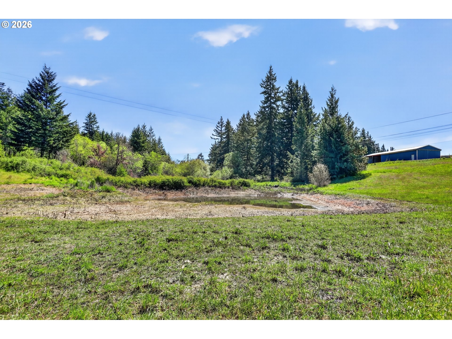 97 Kida Road White Salmon, WA 98672 - Photo 13 of 45 a view of a yard with an trees