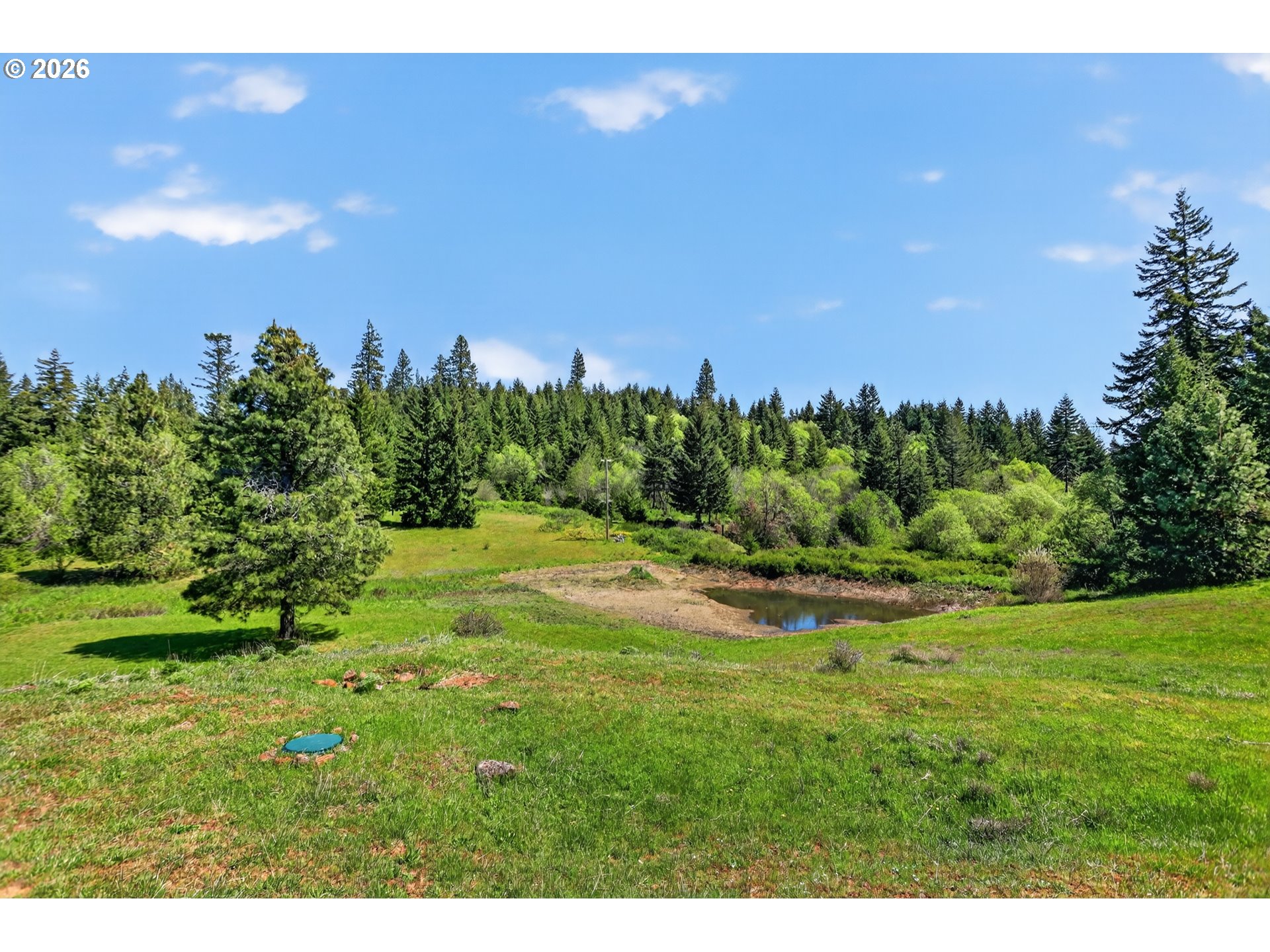 97 Kida Road White Salmon, WA 98672 - Photo 10 of 45 a view of a big yard with potted plants and mountain view