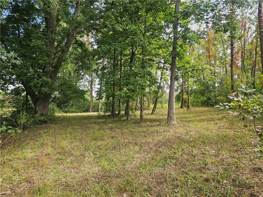 121 Buffalo Road Arcadia, NY 14513 - Photo 8 of 25 Gallery Image 8