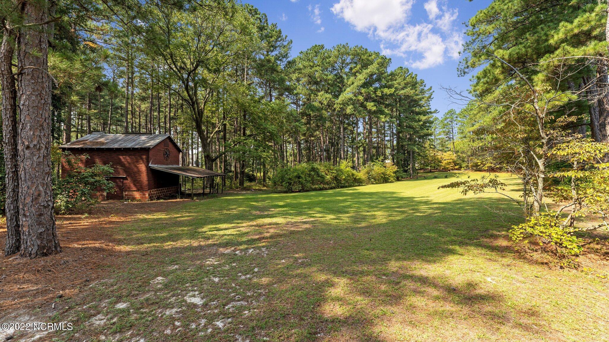 2497 Joel Road Carthage, NC 28327 - Photo 51 of 64 58-web-or-mls-DSC08296