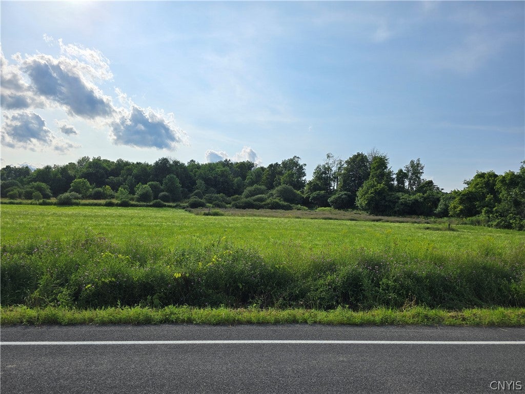 Berry Road LaFayette, NY 13084 - Photo 1 of 9 Gallery Image 1