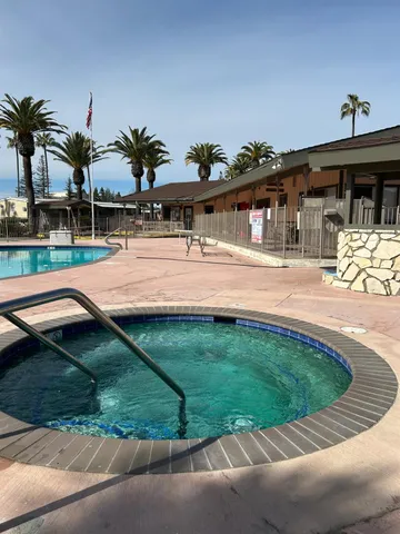 a palm tree sitting on a wooden floor next to a yard