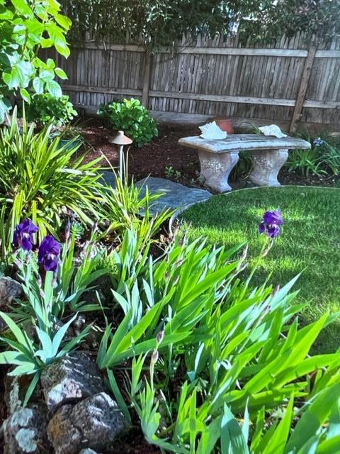 2198 Avy Avenue Menlo Park, CA 94025 - Photo 37 of 39 a garden with a bench in the garden
