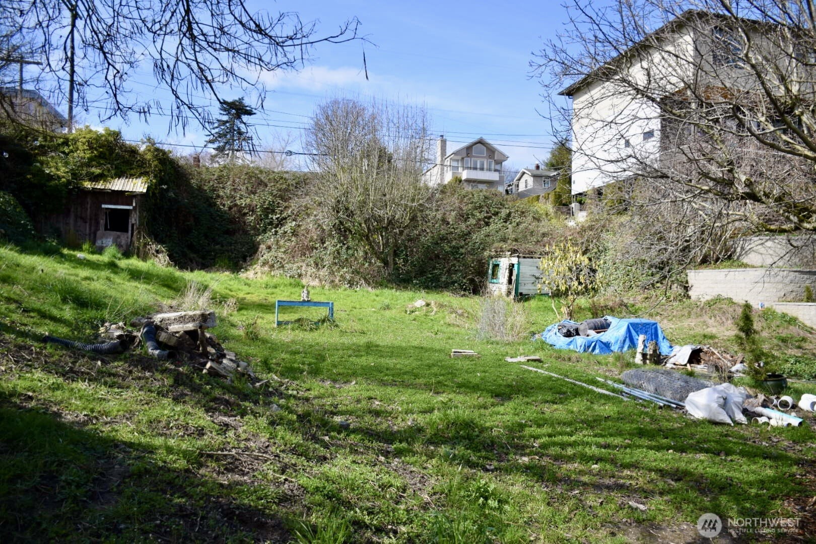 a green field covered with tall trees