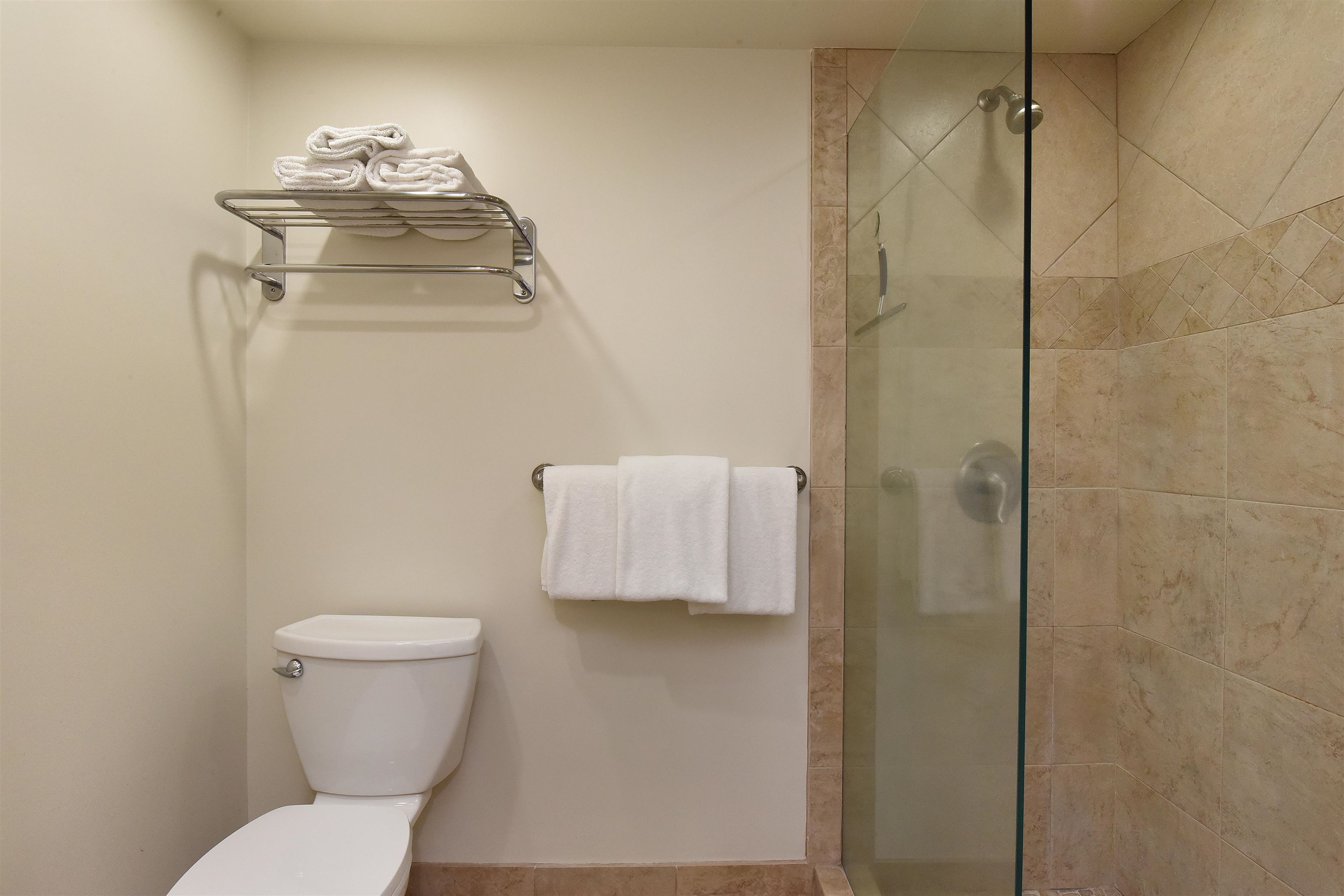 150 Puukolii Road, Unit 52 Lahaina, HI 96761 - Photo 28 of 50 a bathroom with a toilet and a mirror