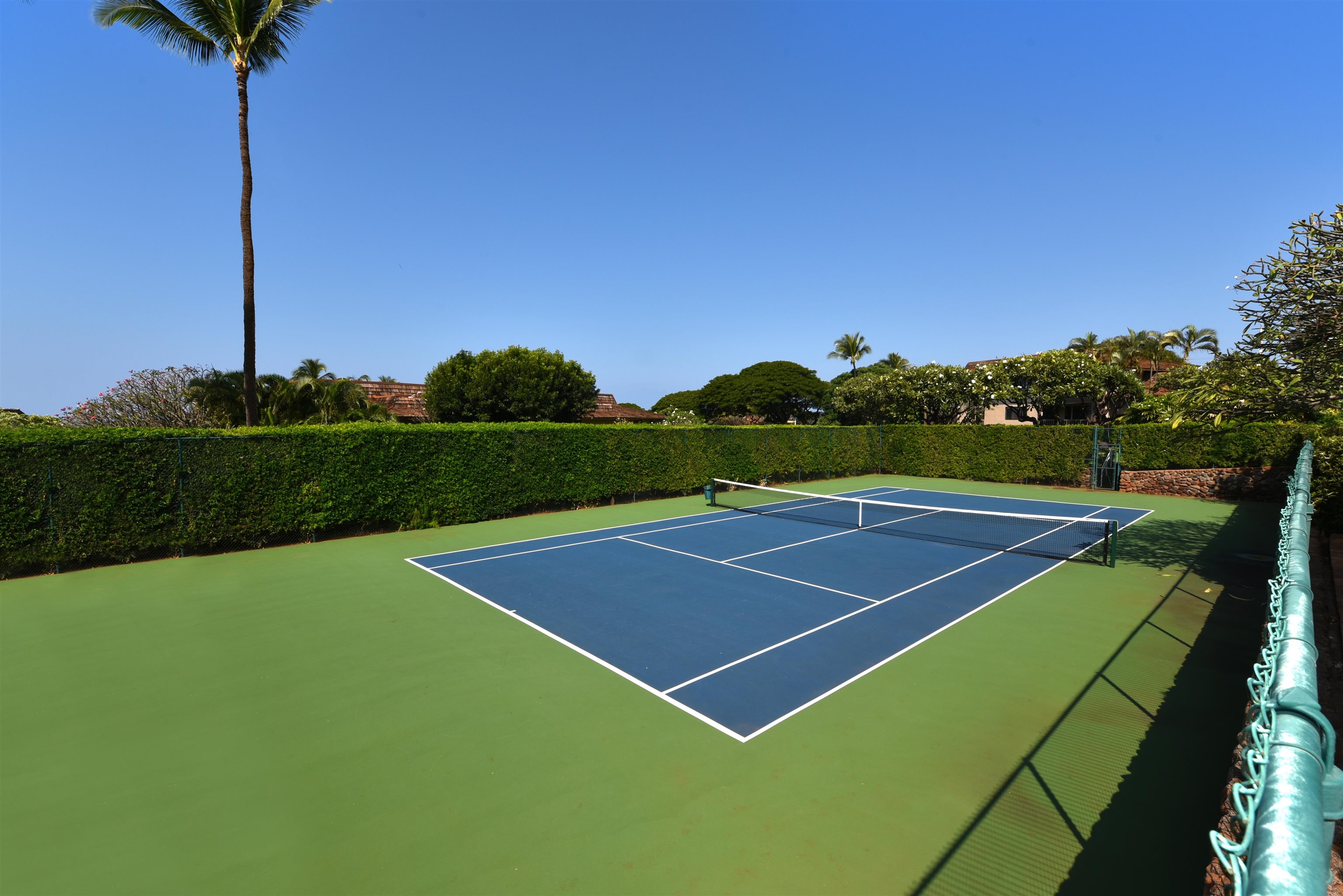 150 Puukolii Road, Unit 52 Lahaina, HI 96761 - Photo 47 of 50 a view of a tennis court