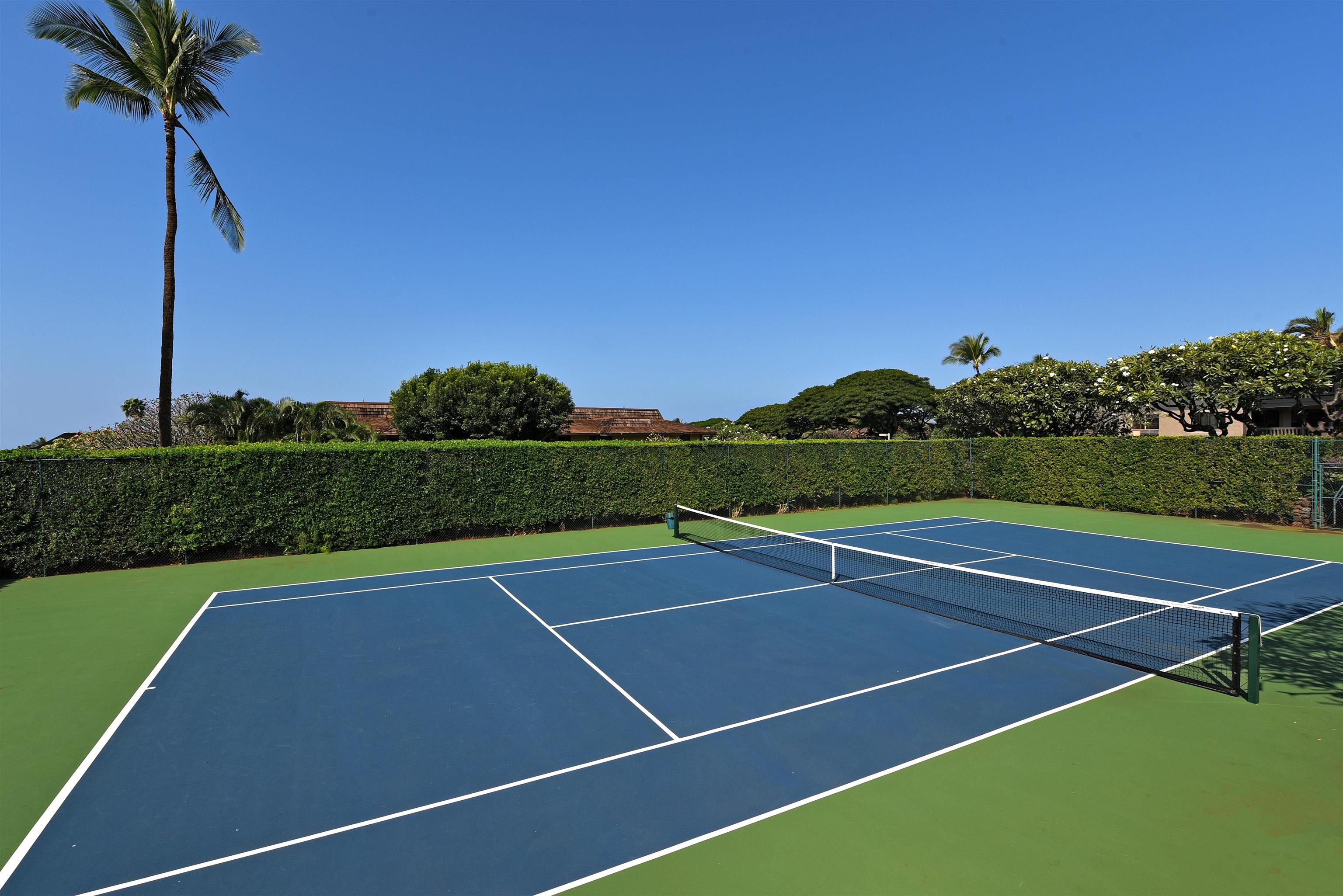 150 Puukolii Road, Unit 52 Lahaina, HI 96761 - Photo 48 of 50 a view of an outdoor space and tennis court