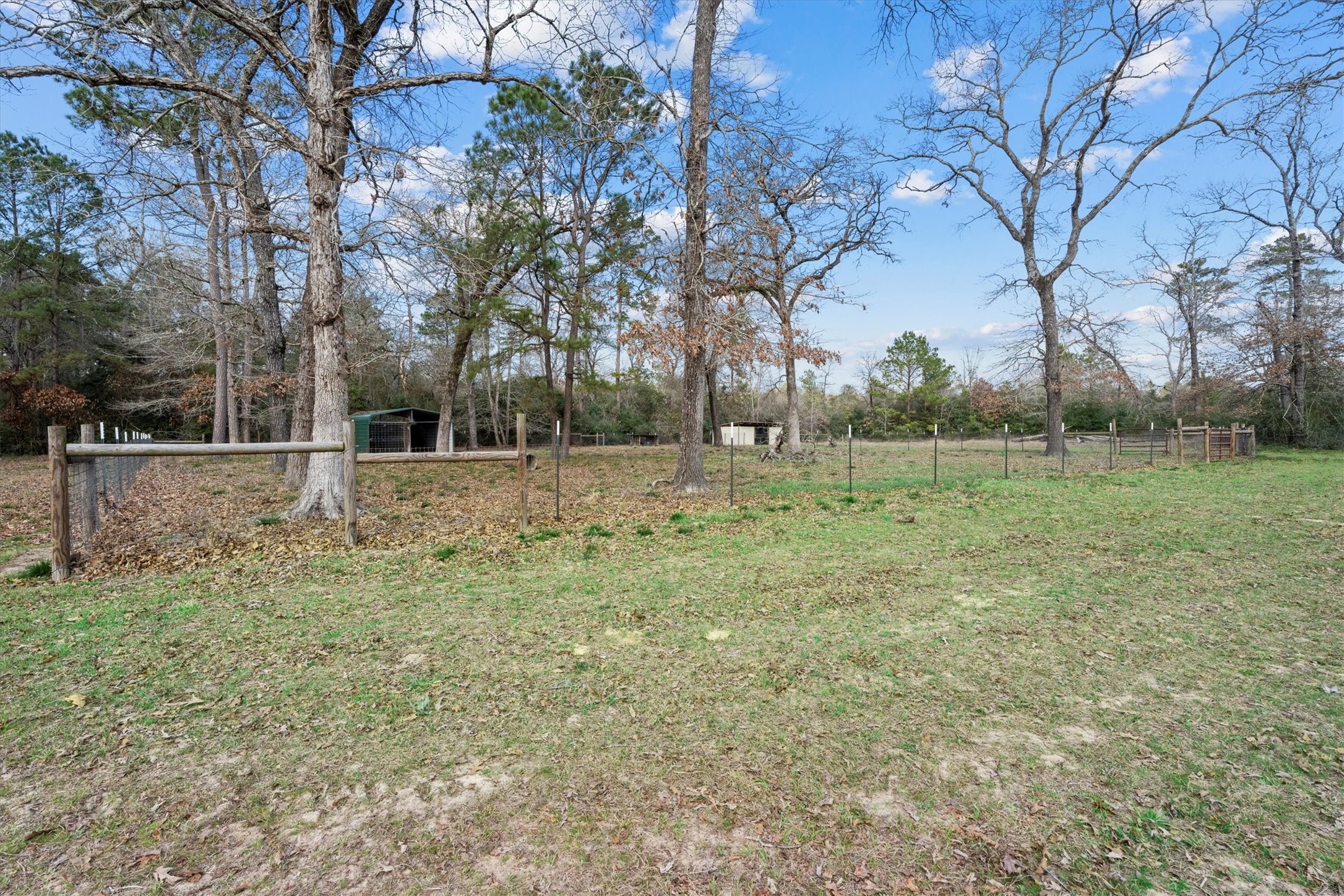12848 Old Little Road Conroe, TX 77303 - Photo 37 of 46