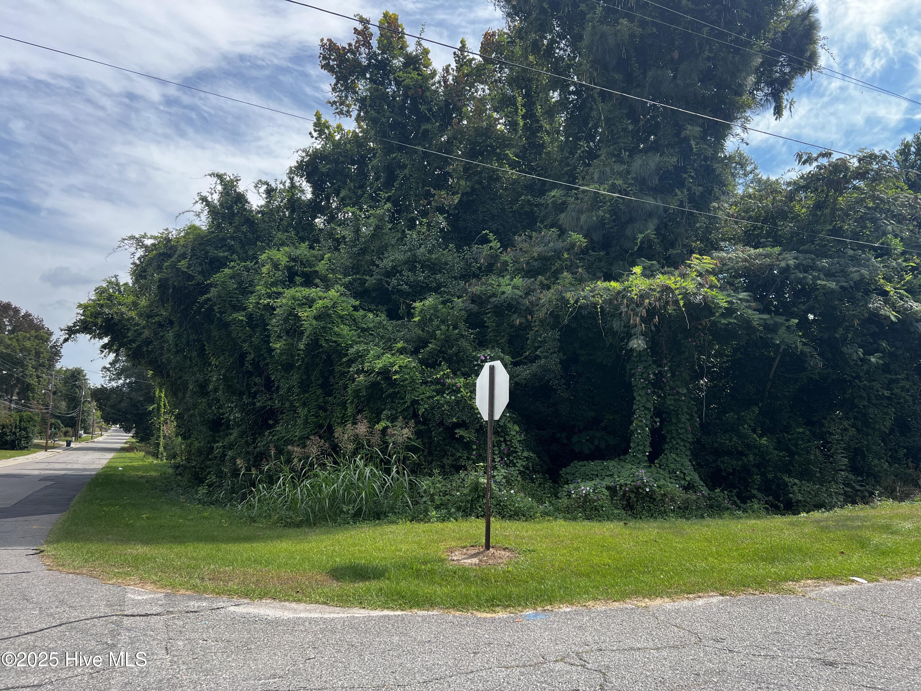 TBD W Indiana - Corner lot