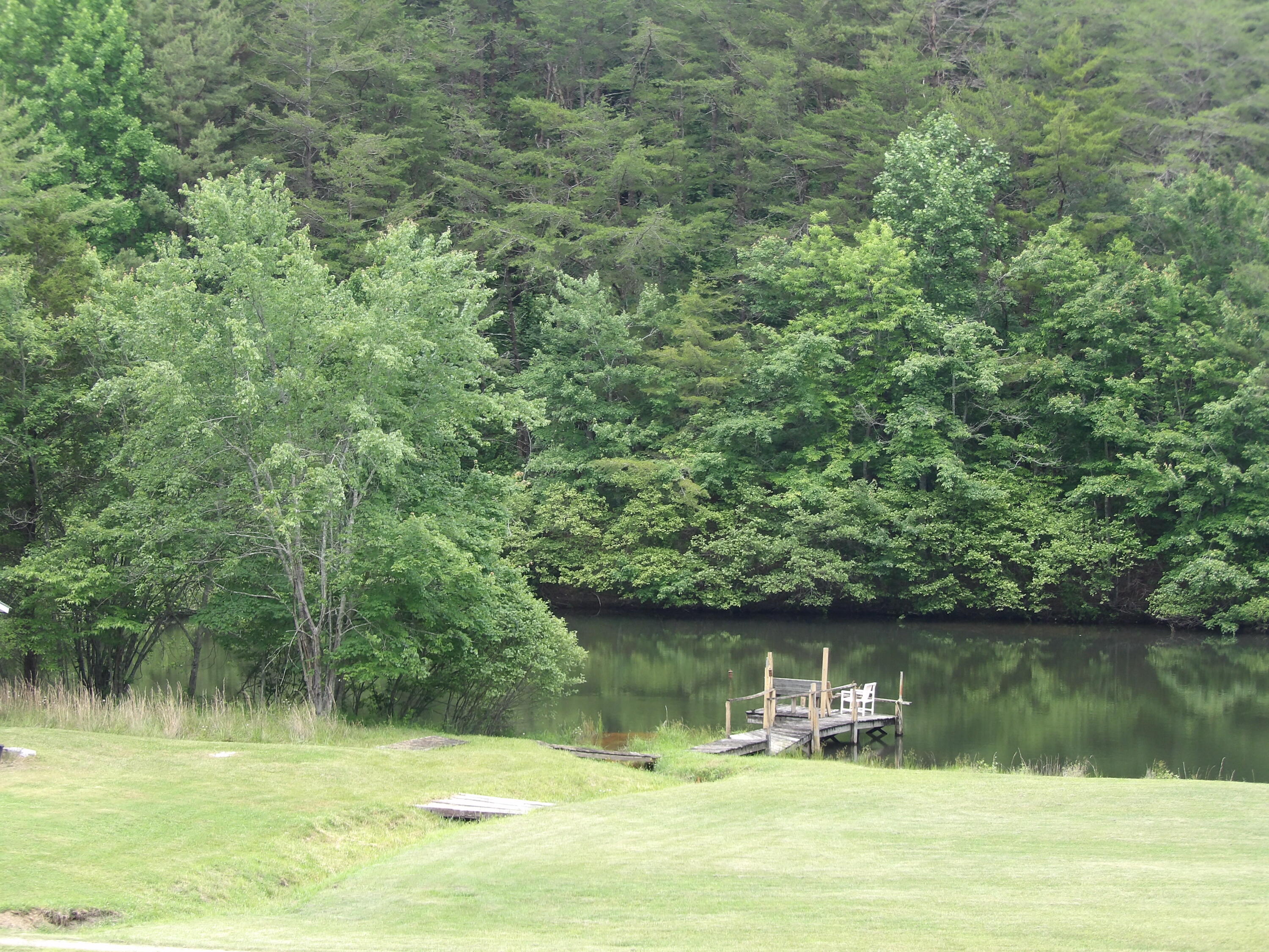 716 Fernhill Road Pikeville, TN 37367 - Photo 42 of 55 100_2536