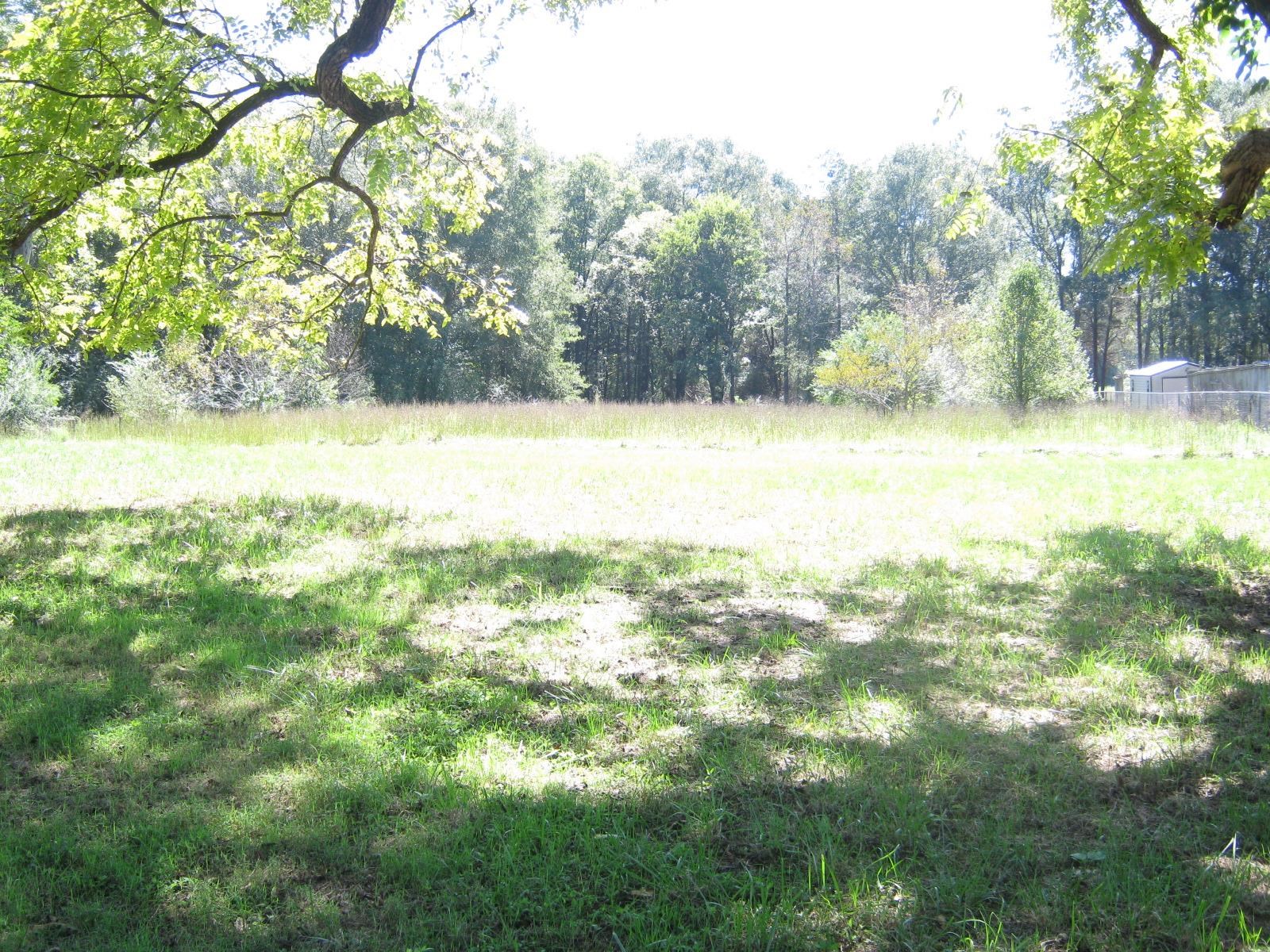 503 Walnut Grove Pauline Road Pauline, SC 29374 - Photo 6 of 17 Gallery Image 6