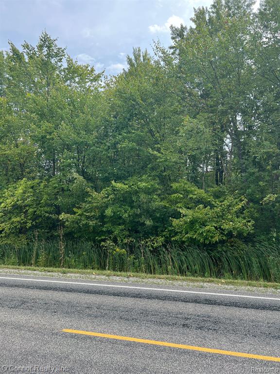 0 Wadhams Road St. Clair, MI 48079 - Photo 1 of 3 Gallery Image 1