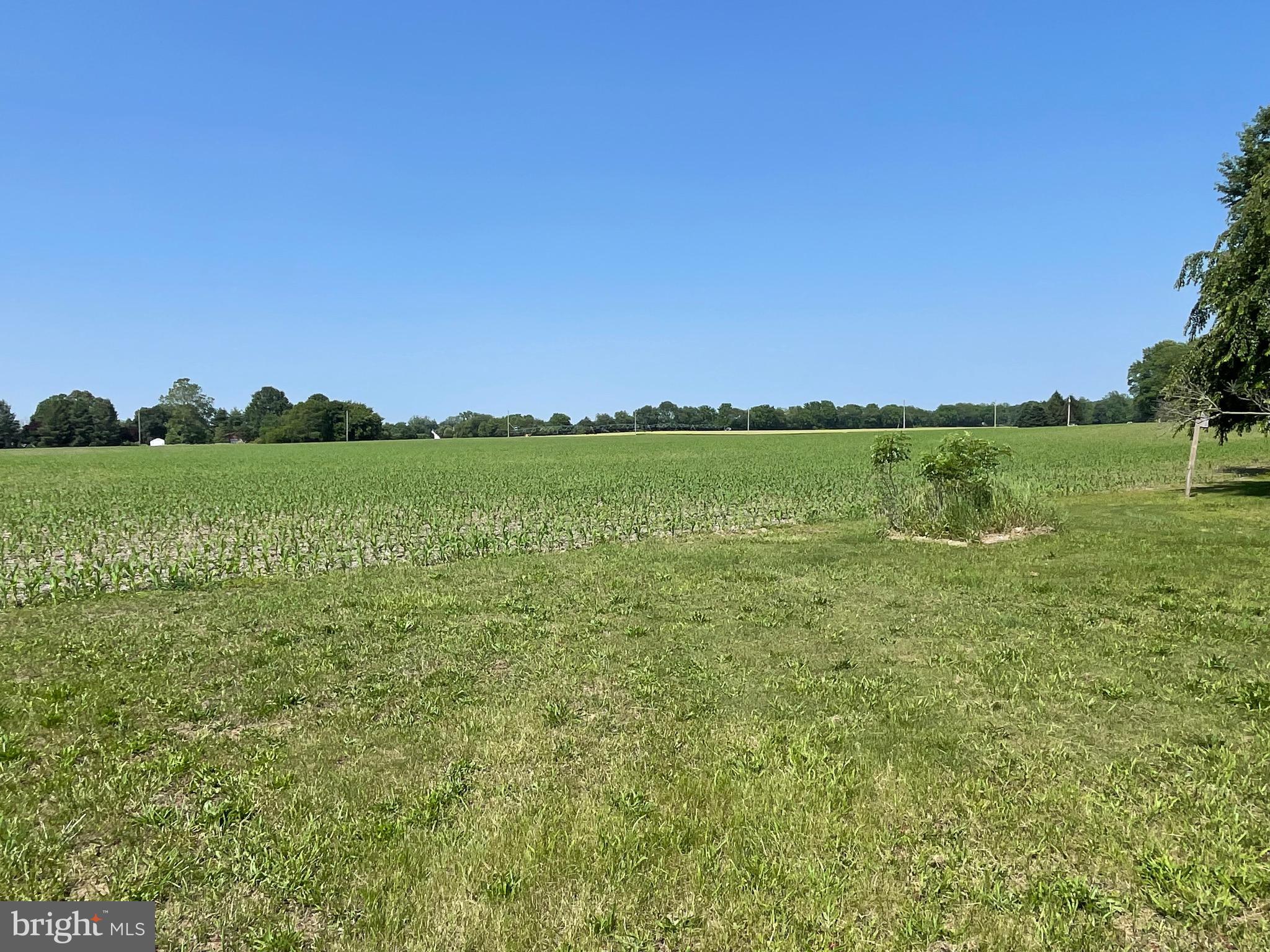 606 Quinton-Marlboro Road Bridgeton, NJ 08302 - Photo 36 of 46 Farmland on the right side of the home
