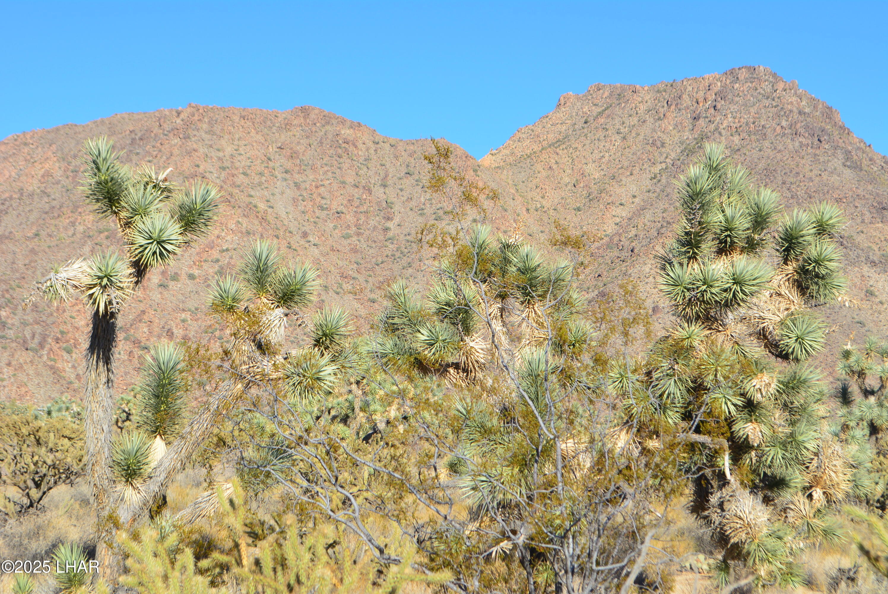 11900 Alan Road Yucca, AZ 86438 - Photo 28 of 93 DSC_0368
