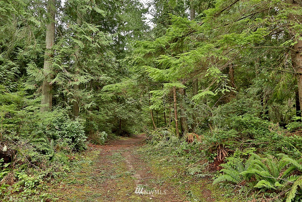 4186 Timberline Road Clinton, WA 98236 - Photo 17 of 22 Gallery Image 17