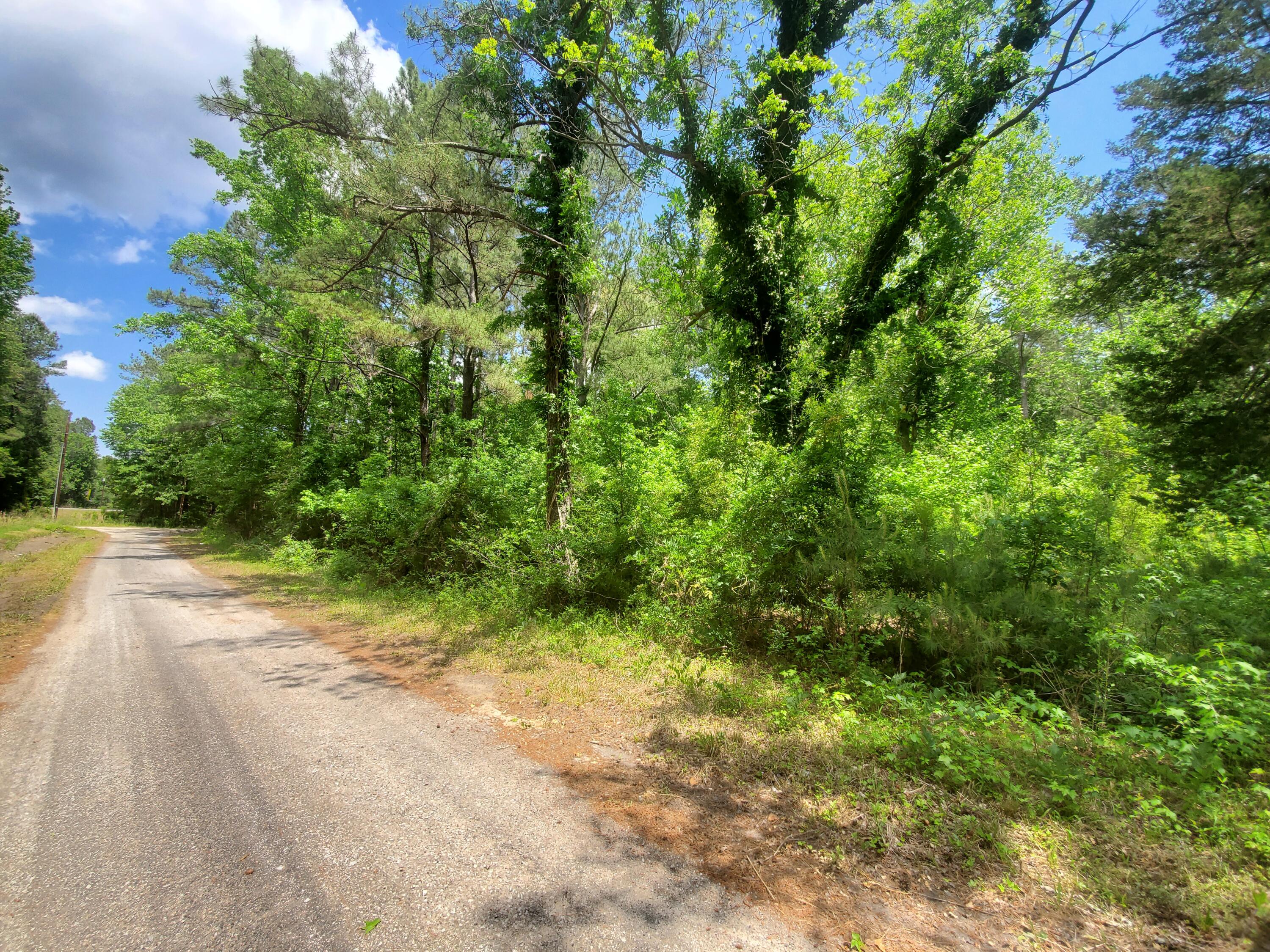 336 Sampson Road Ridgeville, SC 29472 - Photo 1 of 5 20210503_135553