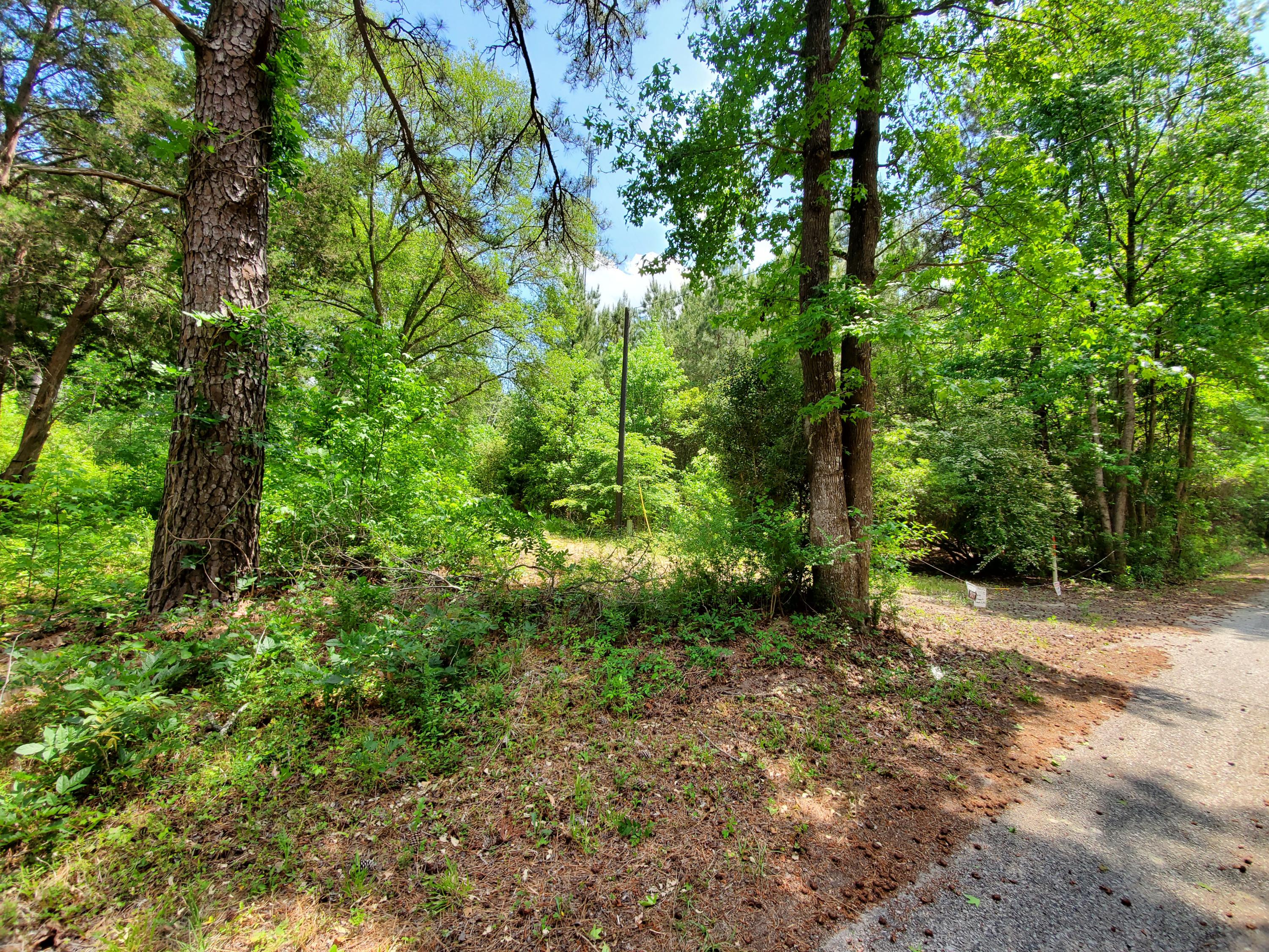 336 Sampson Road Ridgeville, SC 29472 - Photo 3 of 5 20210503_135519