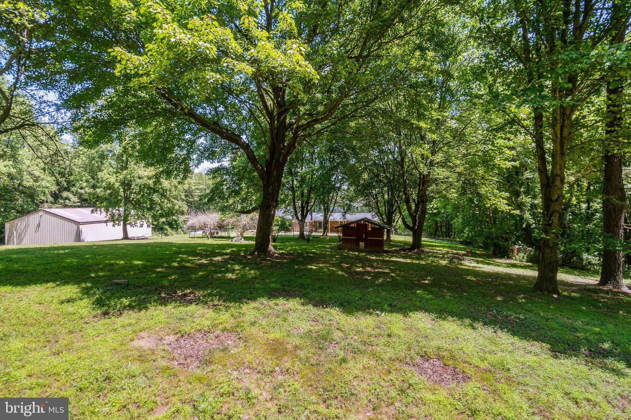 4412 Reels Mill Road Frederick, MD 21704 - Photo 33 of 37 Beautiful trees on the property