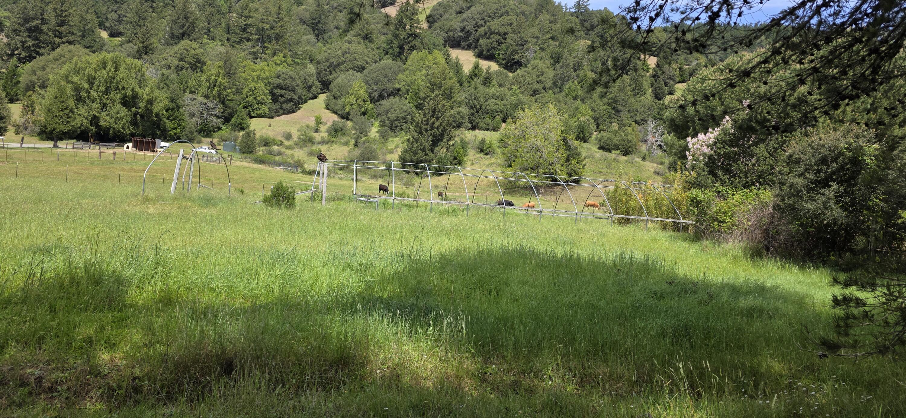 725 Old Hindley Ranch Road Petrolia, CA 95558 - Photo 25 of 33