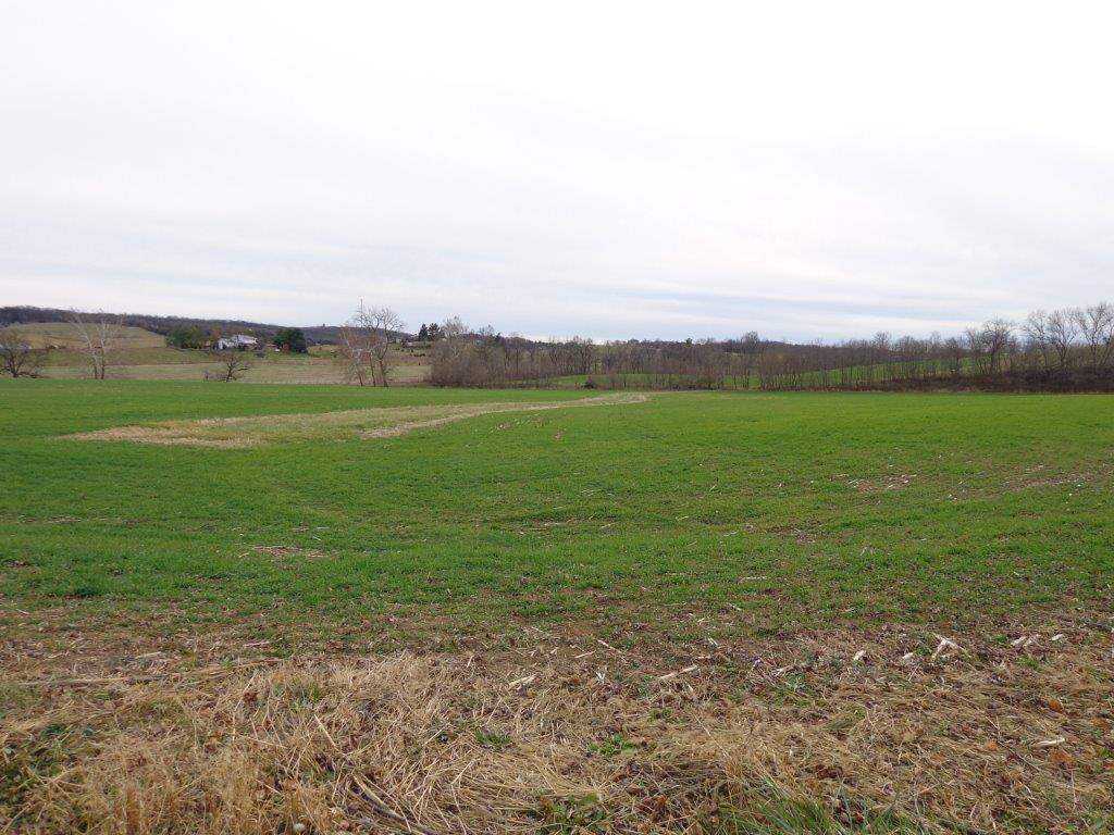 32-acres Greenmount Road Harrisonburg, VA 22802 - Photo 3 of 12 Gallery Image 3