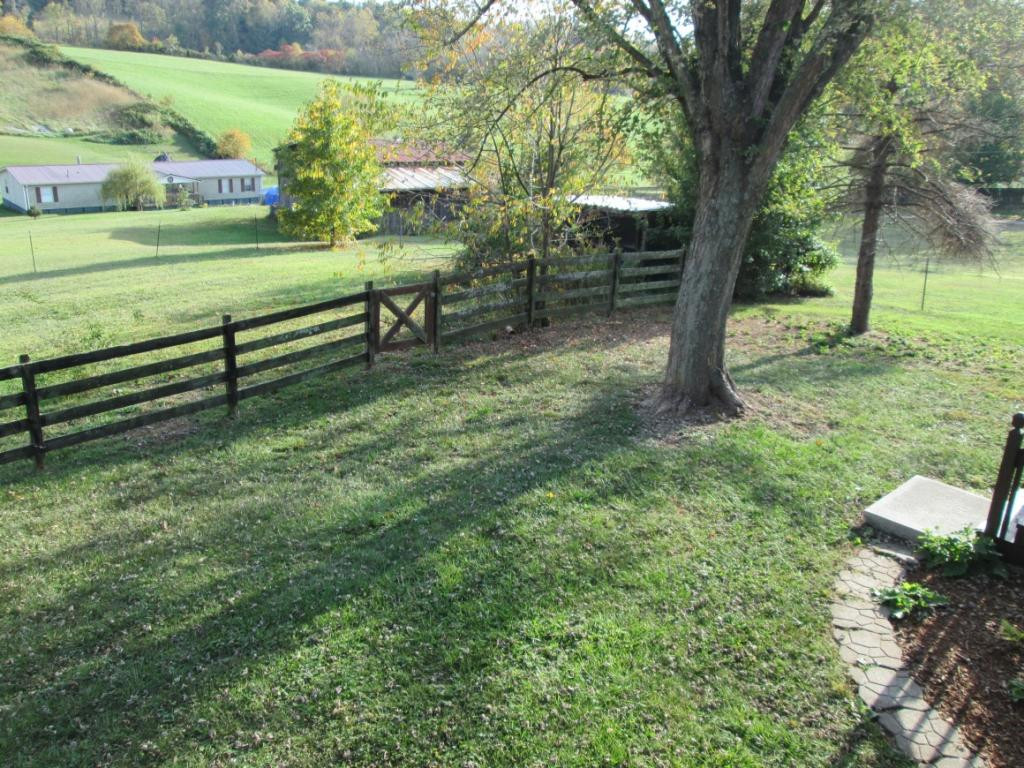 1176 Silver Grove Road Bluff City, TN 37618 - Photo 21 of 26 back yard