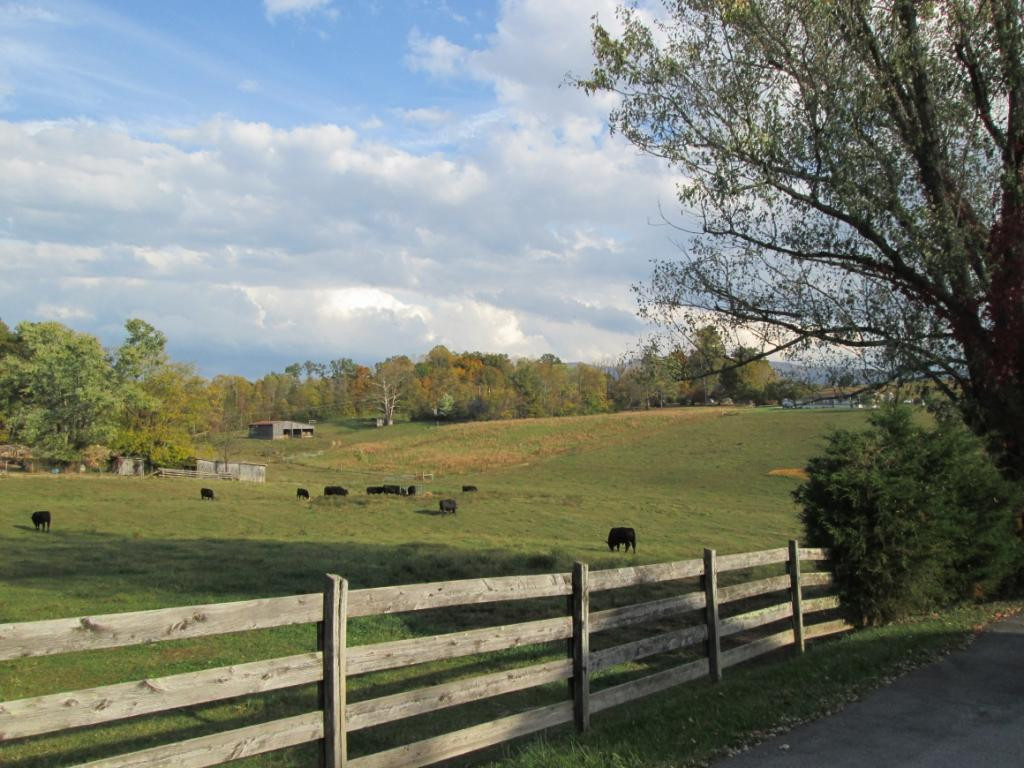 1176 Silver Grove Road Bluff City, TN 37618 - Photo 24 of 26 Country View