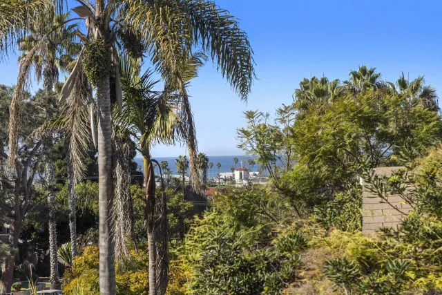 a view of a house with a tree