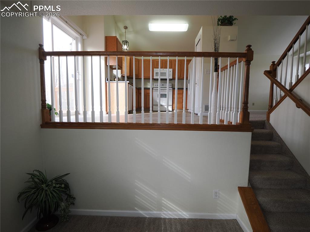 7338 Theresa Road Colorado Springs, CO 80925 - Photo 16 of 34