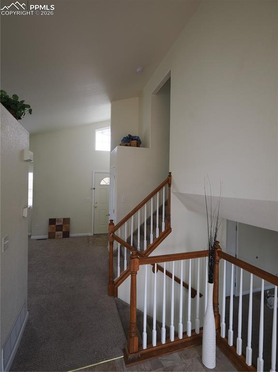 7338 Theresa Road Colorado Springs, CO 80925 - Photo 17 of 34