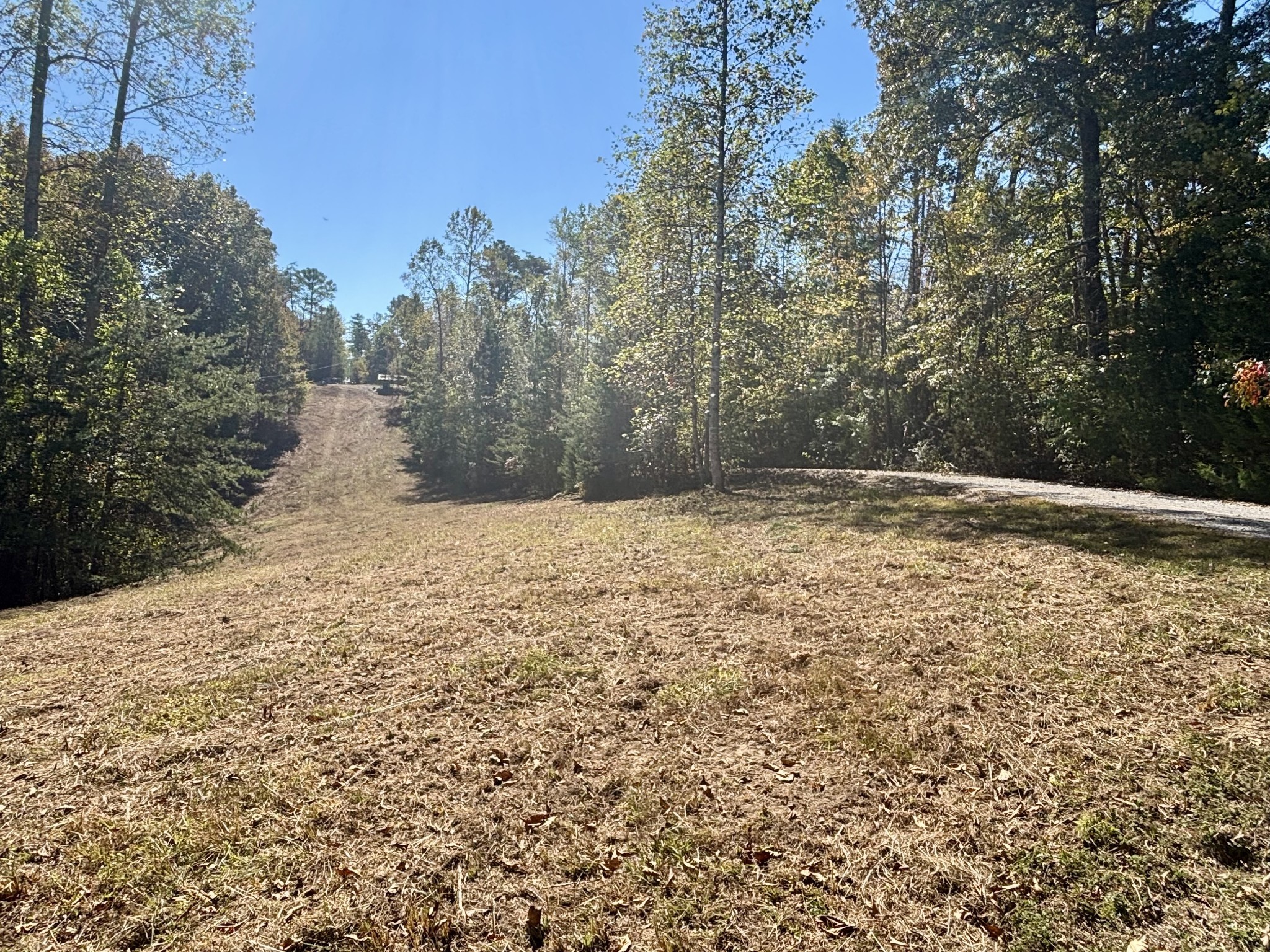 2917 Obie Adcock Road Smithville, TN 37166 - Photo 4 of 32