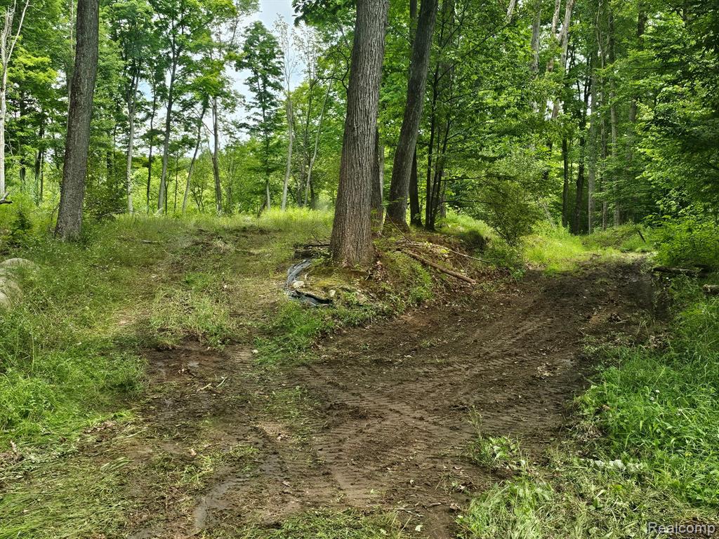 8600 Eagle Road Davisburg, MI 48350 - Photo 4 of 8