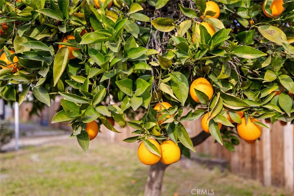 215 8th Street Bakersfield, CA 93304 - Photo 23 of 27