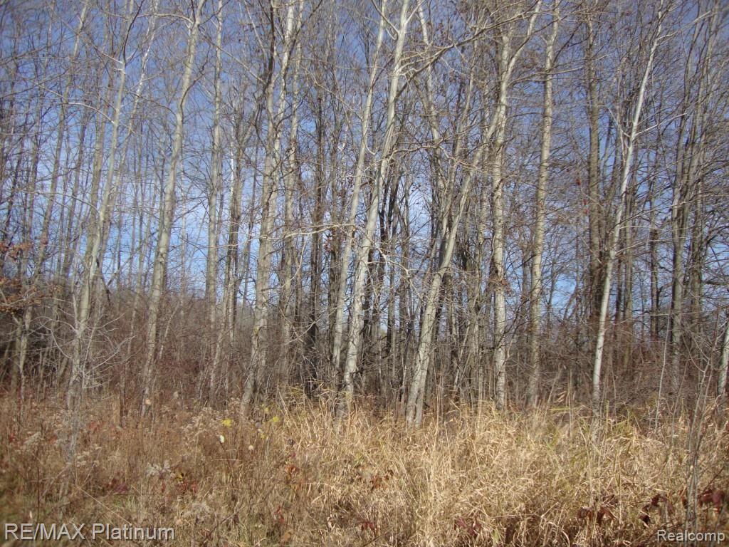 Vac West Iosco Road Fowlerville, MI 48836 - Photo 7 of 13