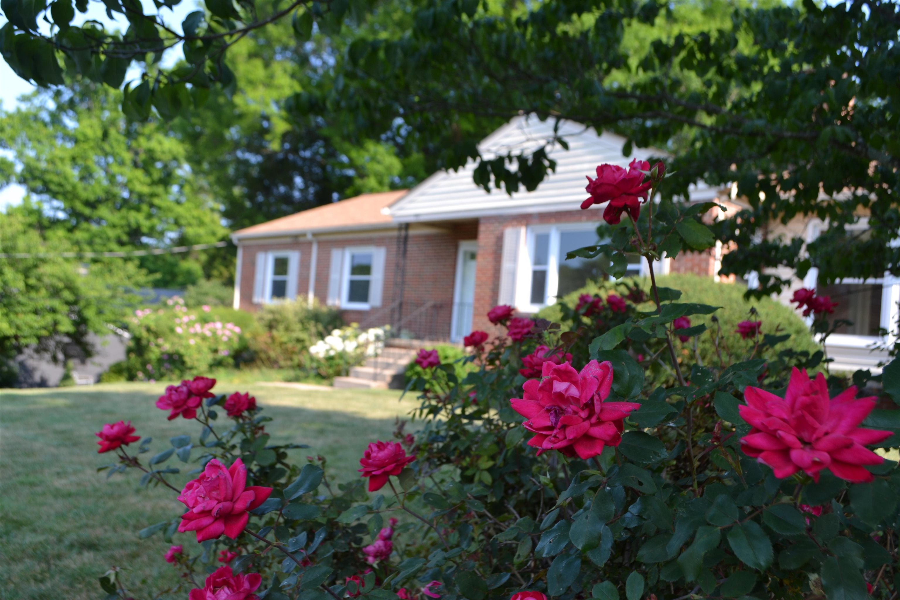 891 Shawnee Road Waynesboro, VA 22980 - Photo 3 of 72 Gallery Image 3