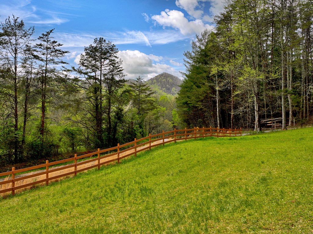 9.13-ac Hells Hollow Road Blue Ridge, GA 30513 - Photo 4 of 59 Gallery Image 4
