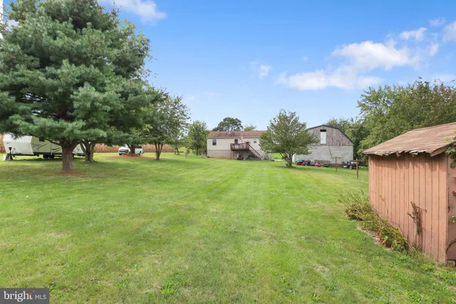 a view of a park with large trees