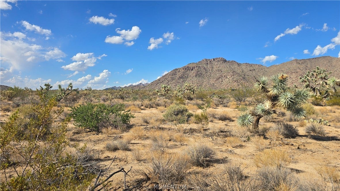 208-27-196d South Kinard Road Yucca, AZ 86438 - Photo 18 of 29 Gallery Image 18