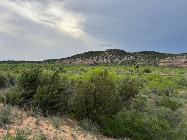 a view of a green field