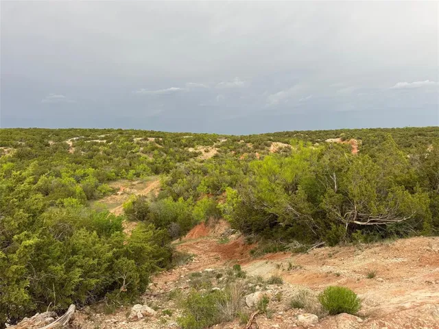 a view of outdoor space and trees