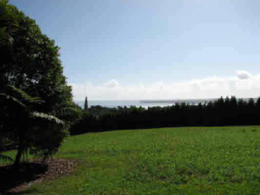 1 Kaiwiki Road Hilo, HI 96720 - Photo 3 of 25 a view of a garden and lake