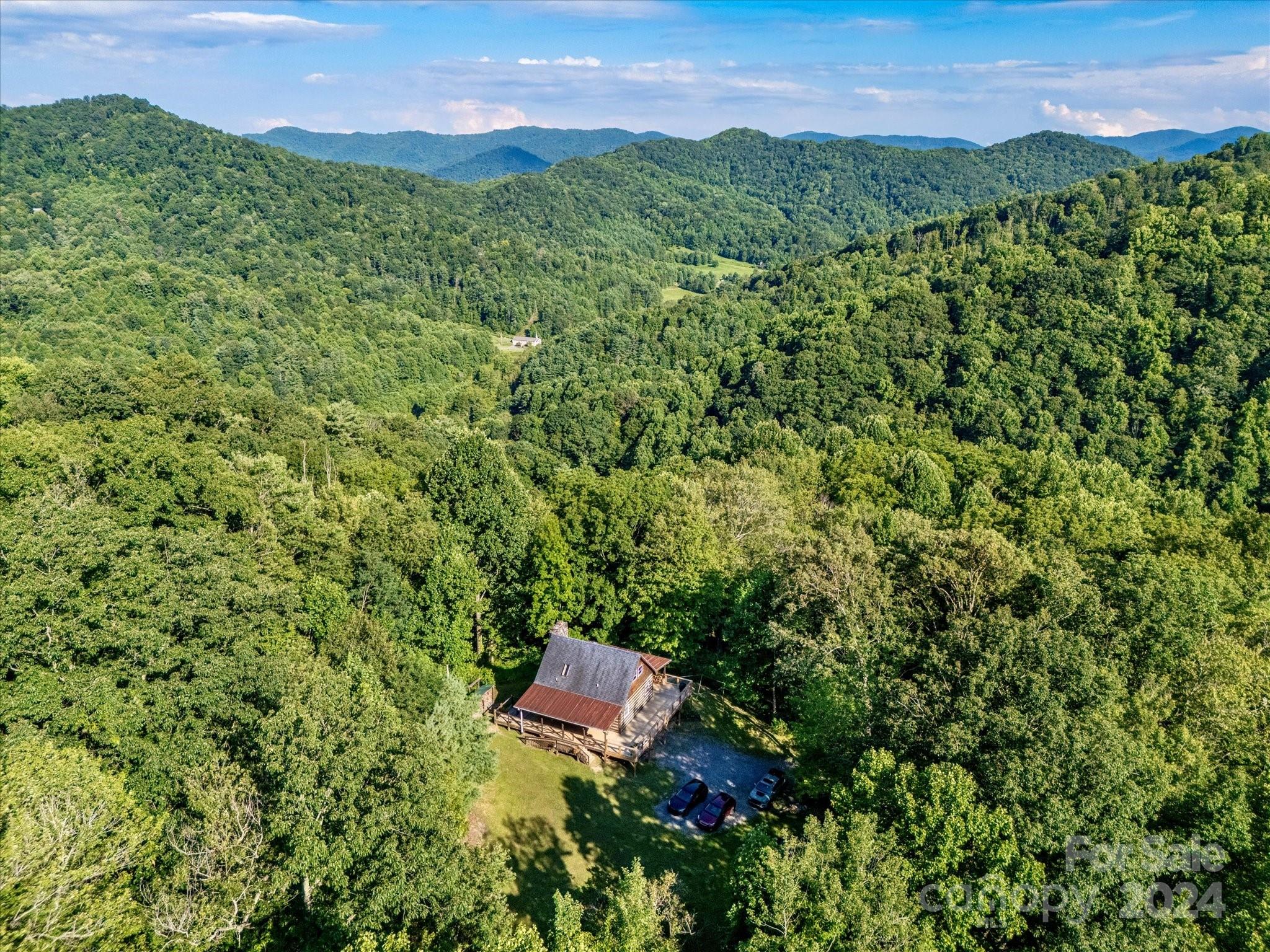 368 Poplar Gap Road Hot Springs, NC 28743 - Photo 2 of 48 Gallery Image 2