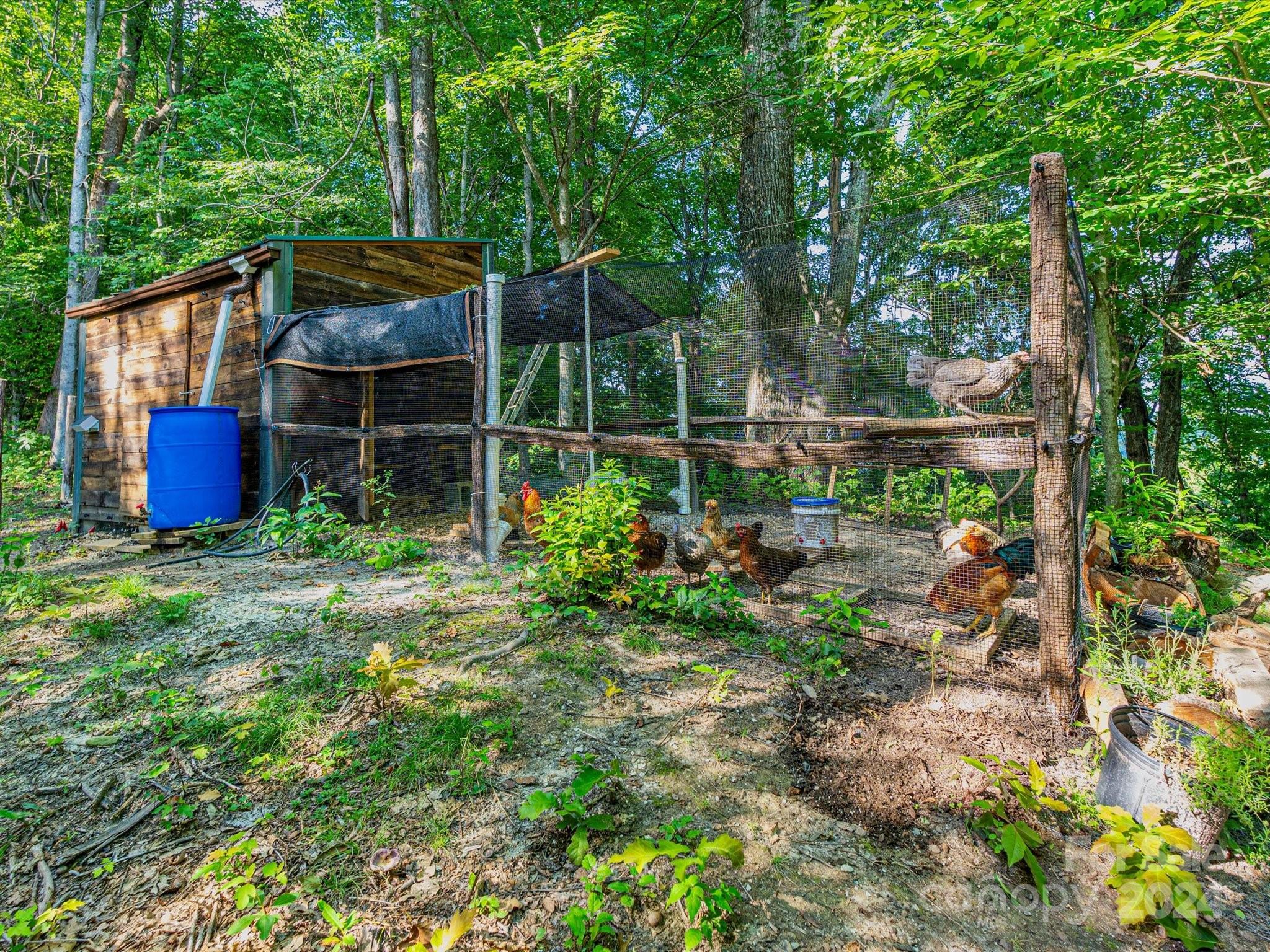 368 Poplar Gap Road Hot Springs, NC 28743 - Photo 42 of 48 Gallery Image 42