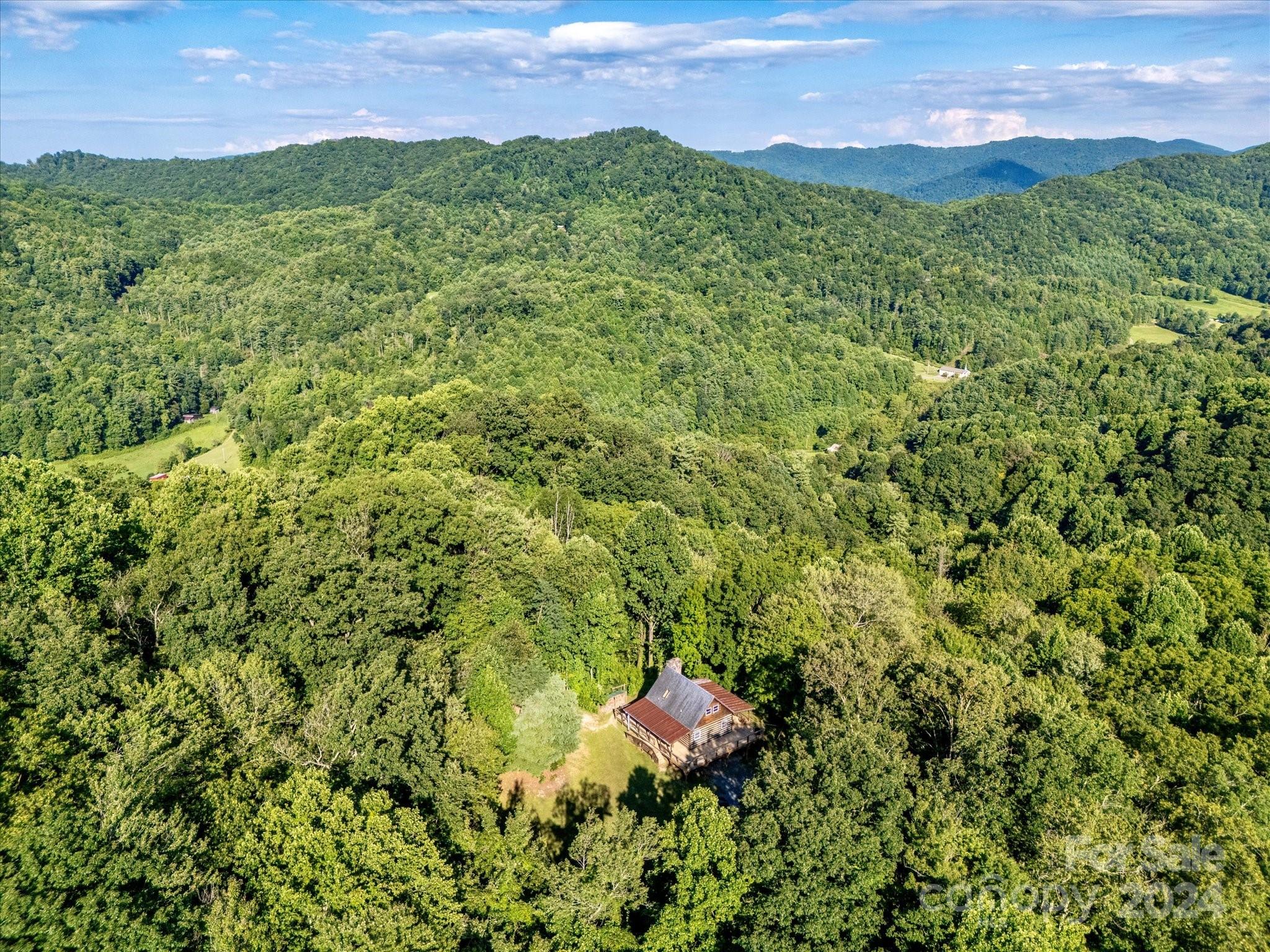368 Poplar Gap Road Hot Springs, NC 28743 - Photo 43 of 48 Gallery Image 43