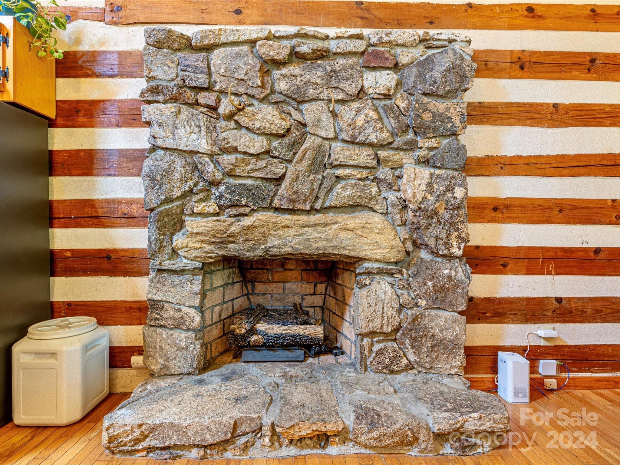 368 Poplar Gap Road Hot Springs, NC 28743 - Photo 8 of 48 Gallery Image 8