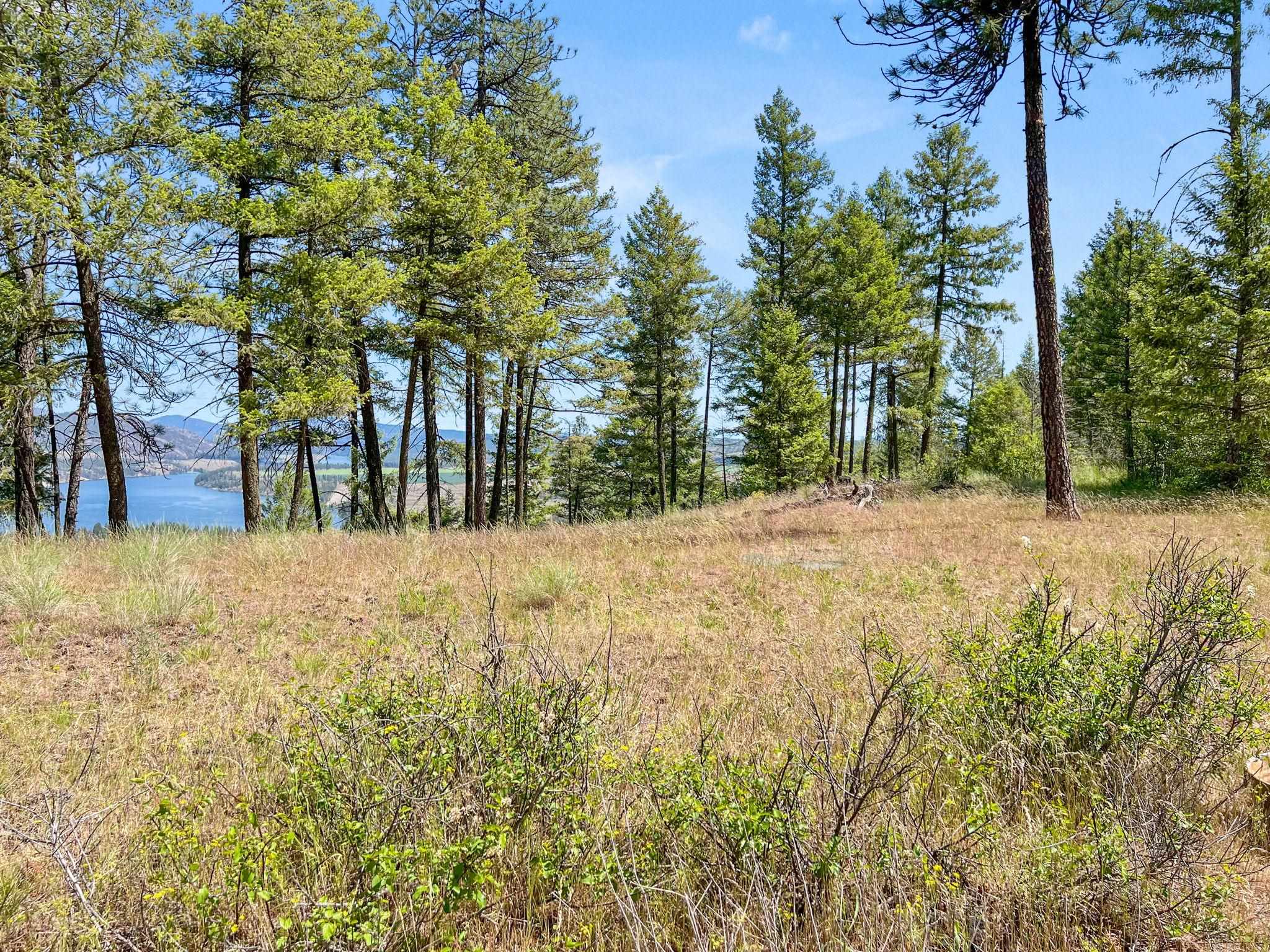 0 West Highland Road Ford, WA 99013 - Photo 19 of 41