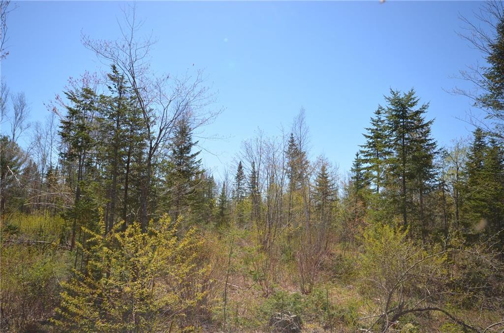 550 Bancroft Road Wytopitlock, ME 04497 - Photo 4 of 14 Land