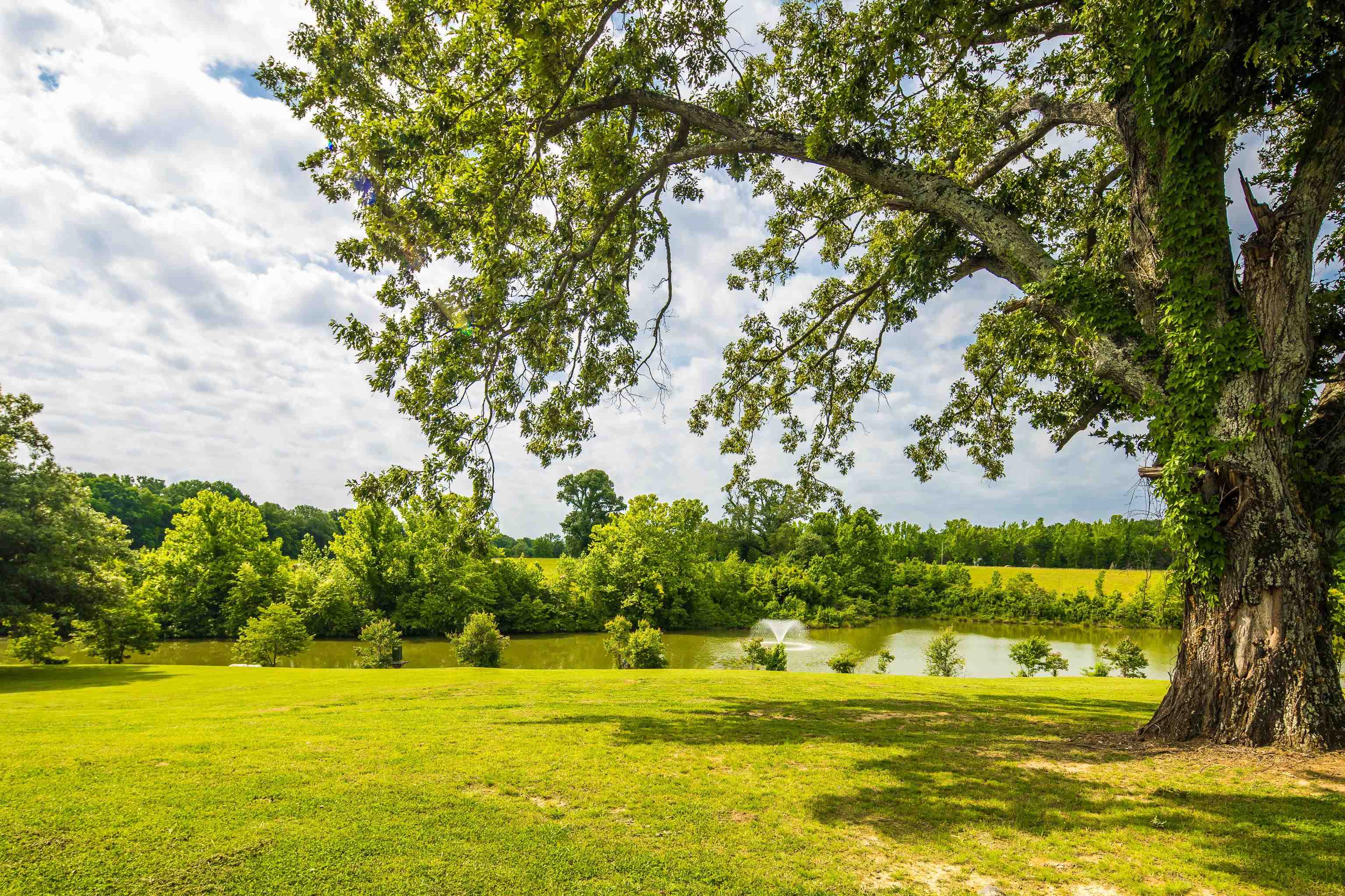 215 Springer Road Somerville, TN 38068 - Photo 39 of 40