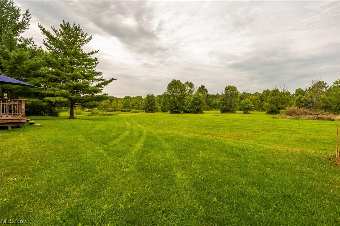 10965 Crawford Road Homerville, OH 44235 - Photo 30 of 35 View of yard