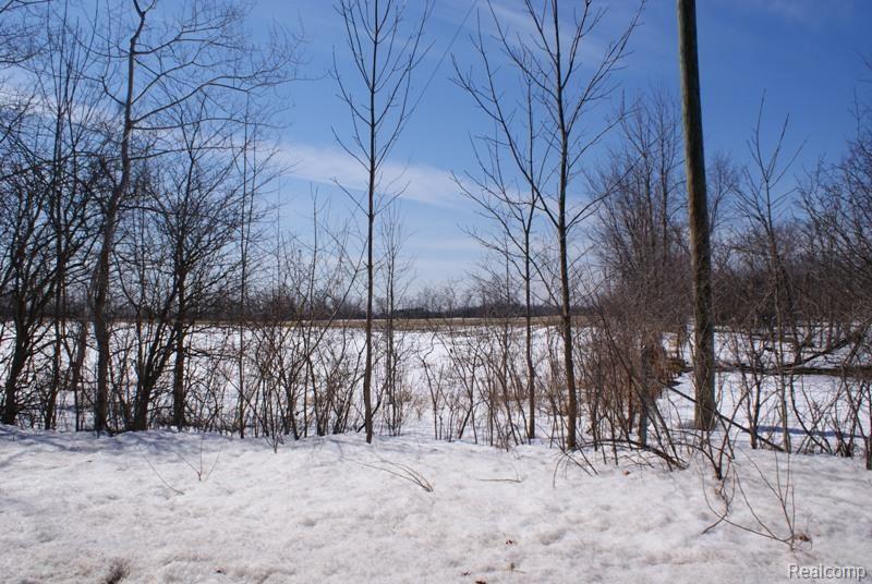 1 Harsen Road Lapeer, MI 48446 - Photo 3 of 3 DSC04315.jpg